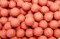 Preview: Fruchtboilies 10 kg (8,90 Euro Grundpreis).